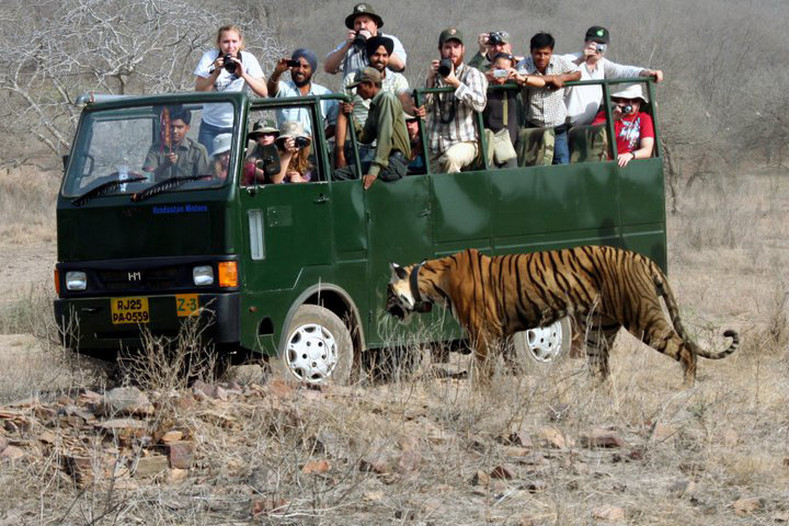 Ranthambore Canter Booking