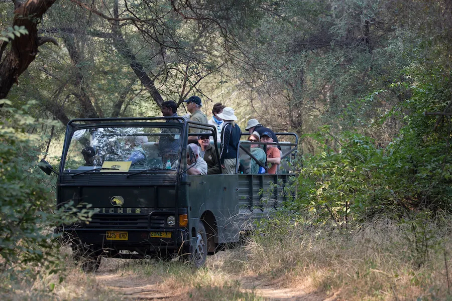 Bagh Resort Ranthambore