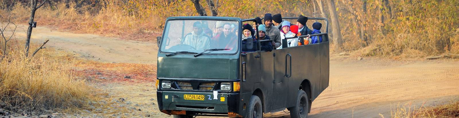 Bagh Resort Ranthambore