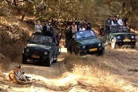 Ranthambore Jeep Safari